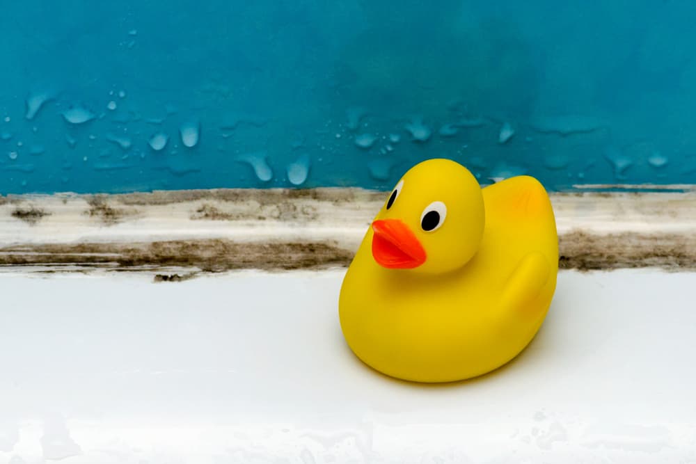 סימני עובש באמבטיה – האם זה אומר שיש נזילה?